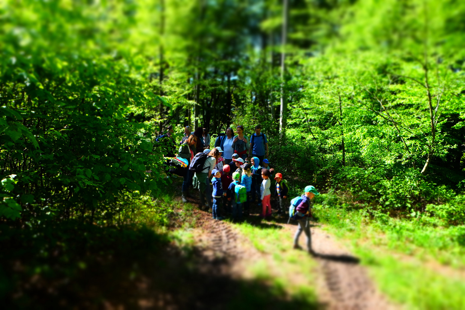 Unsere Kindergartenfamilien und Pädagoginnen auf Frühlingswanderung