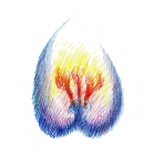 Anthroposophische Erziehungskunst