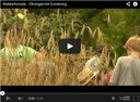 Interessante Filme zur Waldorfschulpädagogik
